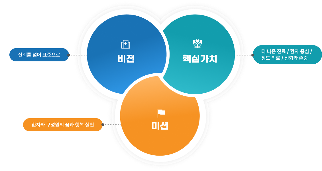 비전- 신뢰를 넘어 표준으로, 핵심가치 - 더 나은 진료 / 환자 중심 / 정도 의료 / 신뢰와 존중, 미션 - 환자와 구성원의 꿈과 행복 실현