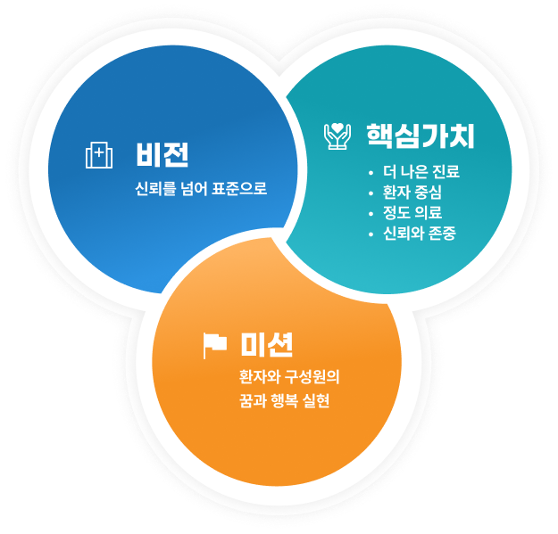 비전- 신뢰를 넘어 표준으로, 핵심가치 - 더 나은 진료 / 환자 중심 / 정도 의료 / 신뢰와 존중, 미션 - 환자와 구성원의 꿈과 행복 실현