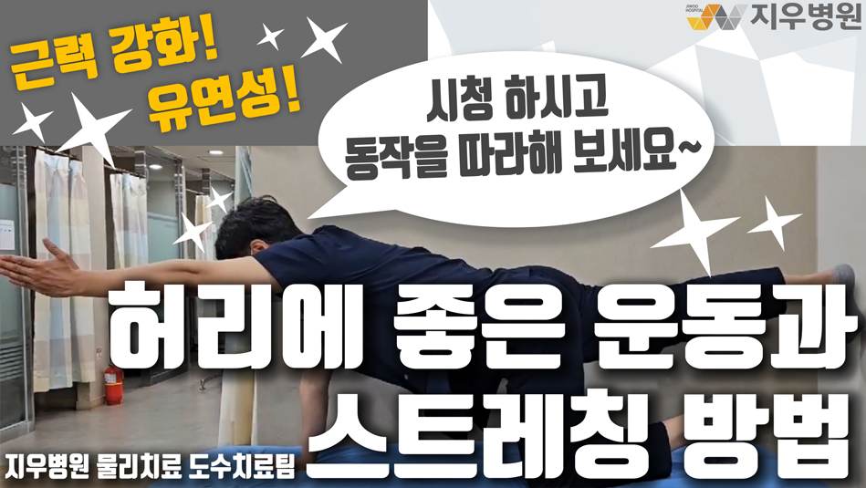 허리에 좋은 운동과 스트레칭 방법